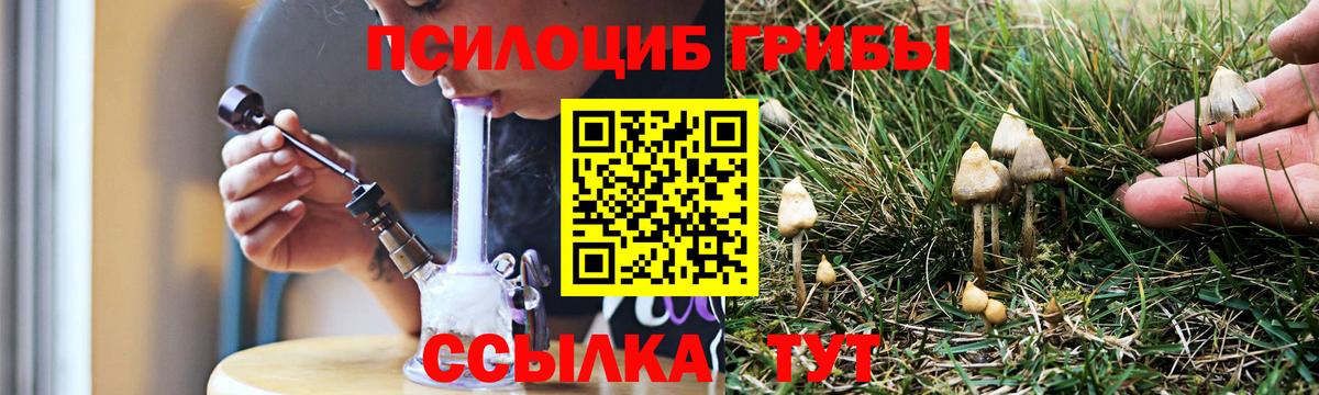 Галлюциногенные грибы прущие грибы  купить закладку  Галлюциногенные грибы GOLDEN TEACHER  Ржев  Вход с VPN 