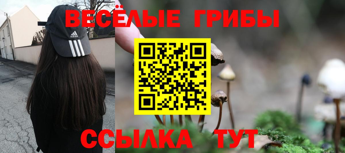 Псилоцибиновые грибы GOLDEN TEACHER Ржев